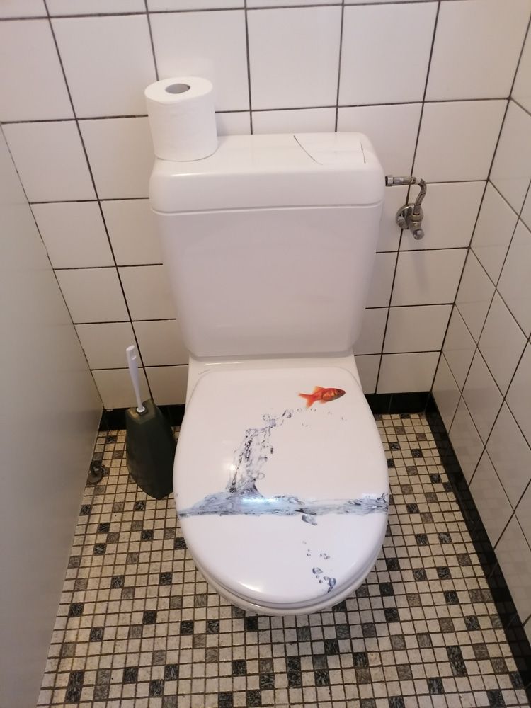 Pius Iten Sanitärservice - Referenzen